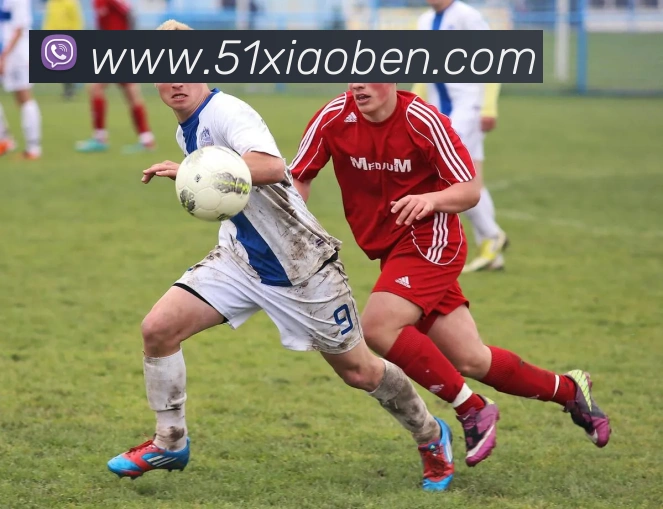 世界杯开户平台发展历程